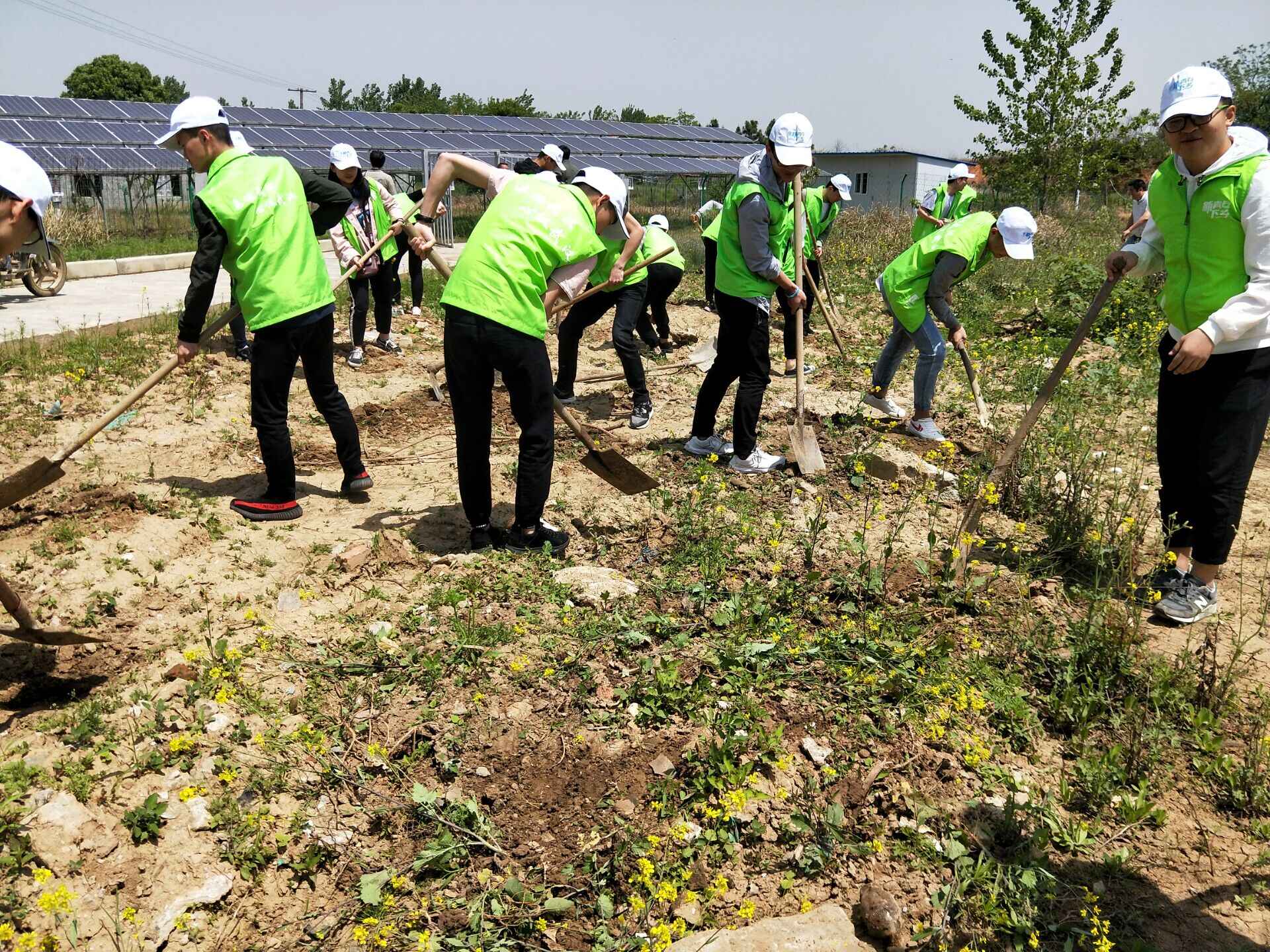 1524039882973551.jpg 1524039882973551.jpg